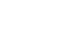 Birria Taco