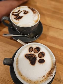 Cat Cafe - Recommended Halal restaurant