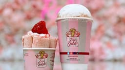 Zizo's Gelato - Recommended Halal restaurant