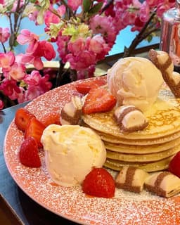 My Old Dutch - Recommended Halal restaurant