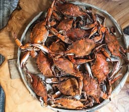 Market Table - Recommended Halal restaurant