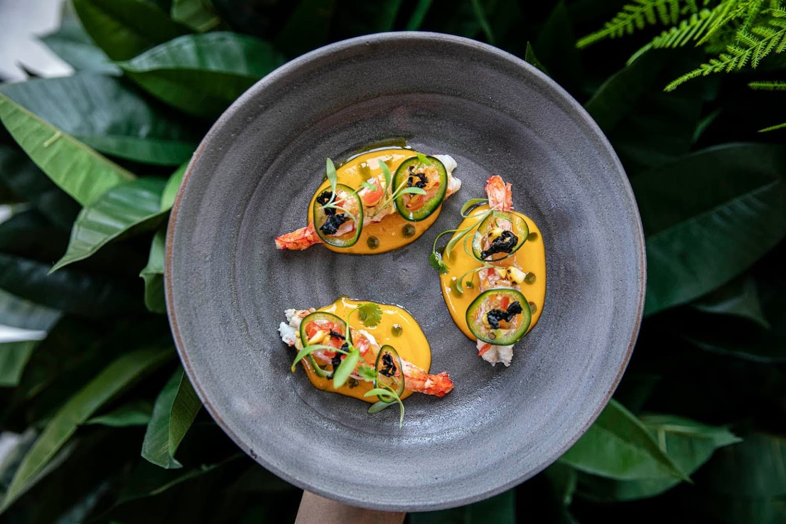 Coya Mayfair photo 1