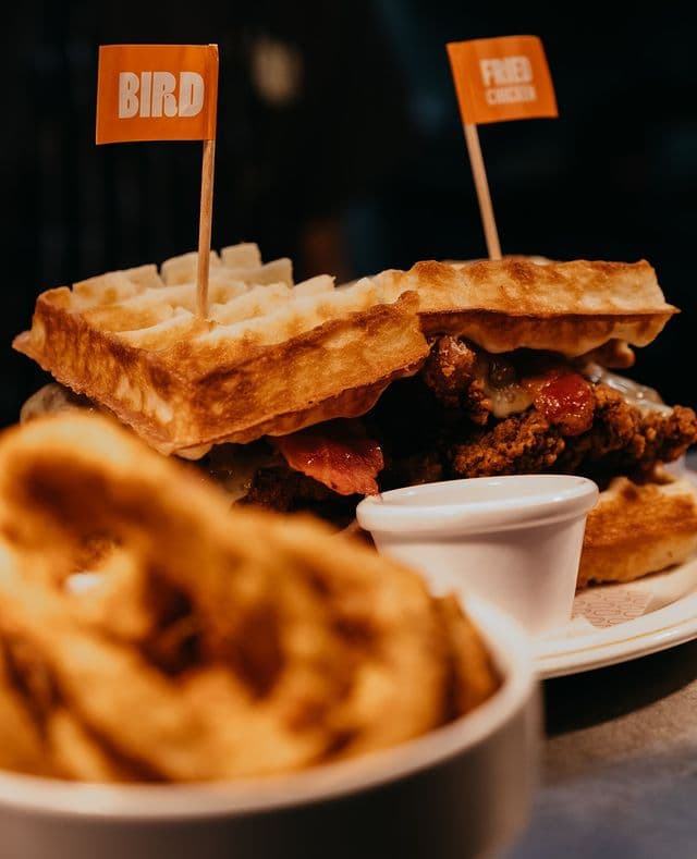 Bird Camden Town photo 4